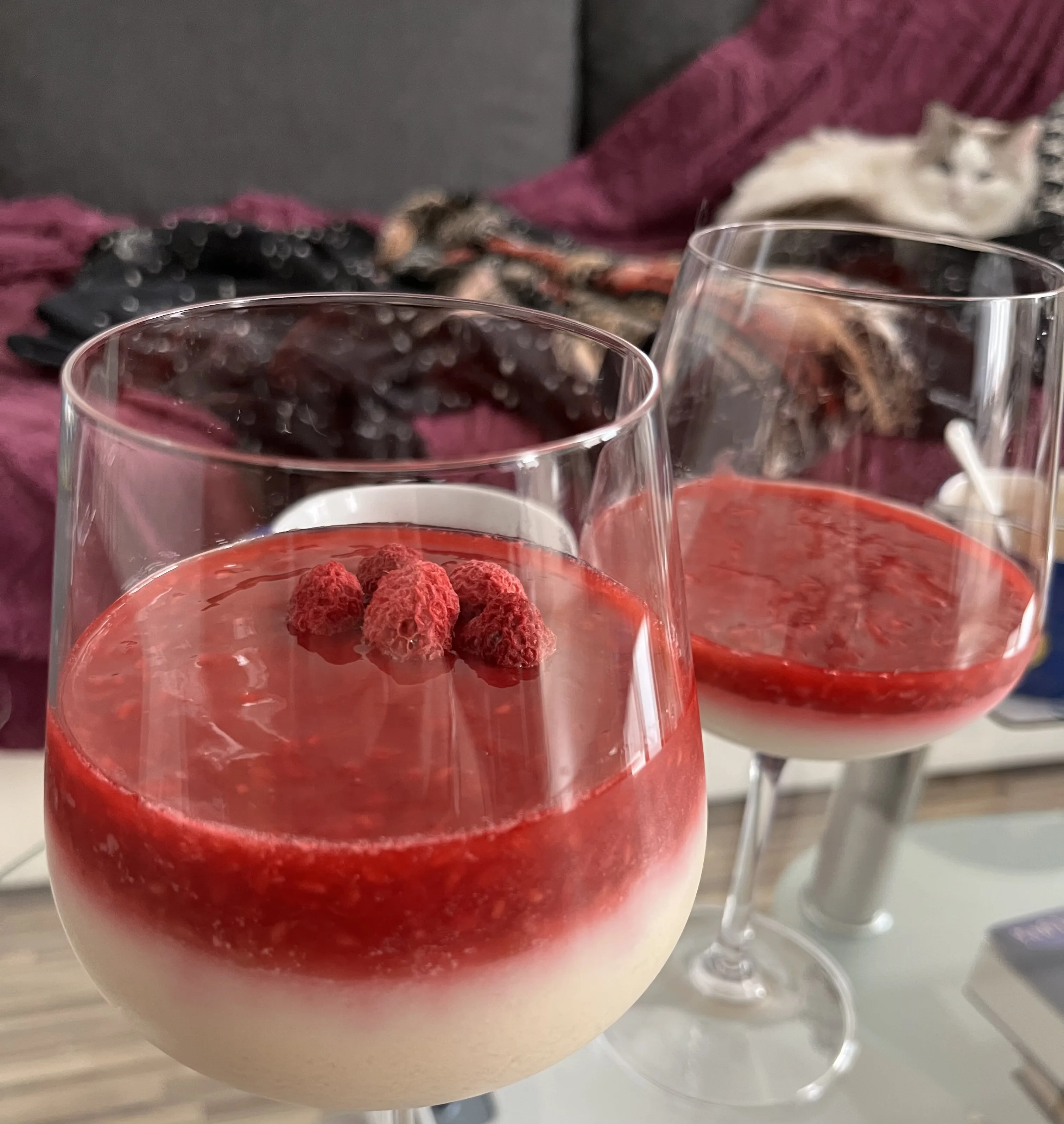 Panna cotta, co mi udělala Lucka